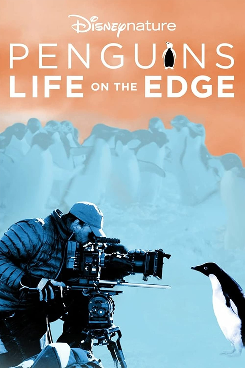 penguins life on the edge 2020